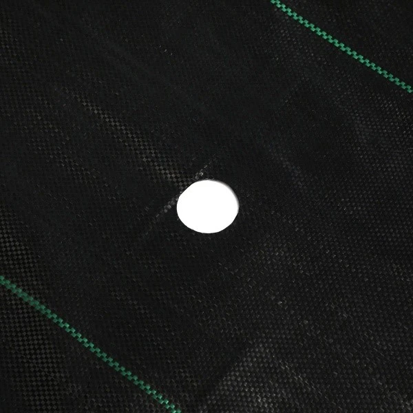 product-600-600