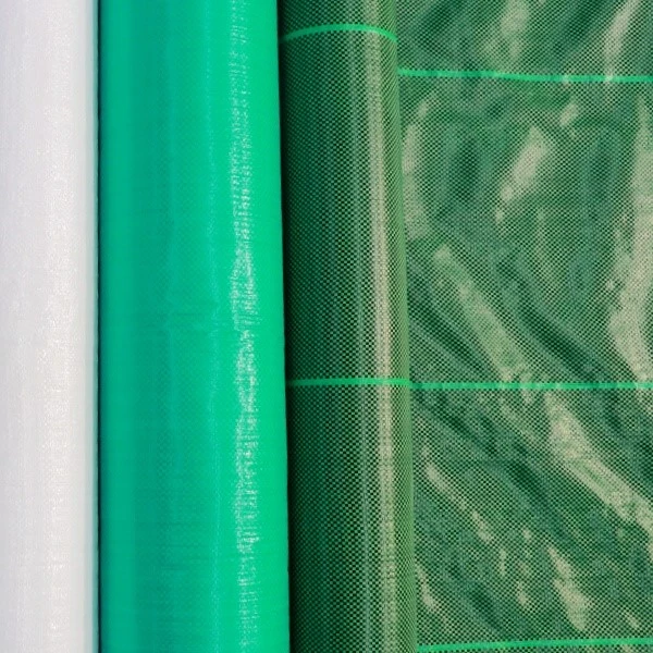 product-600-600